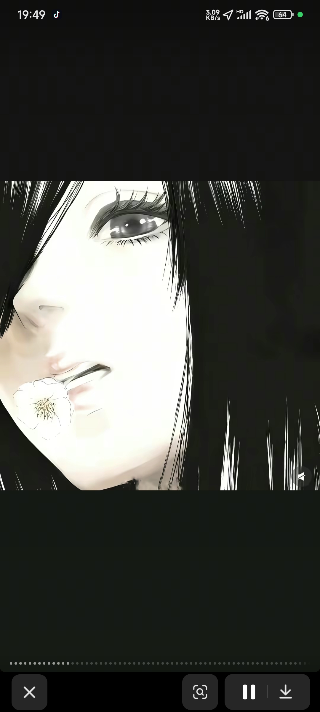 Vanessa.