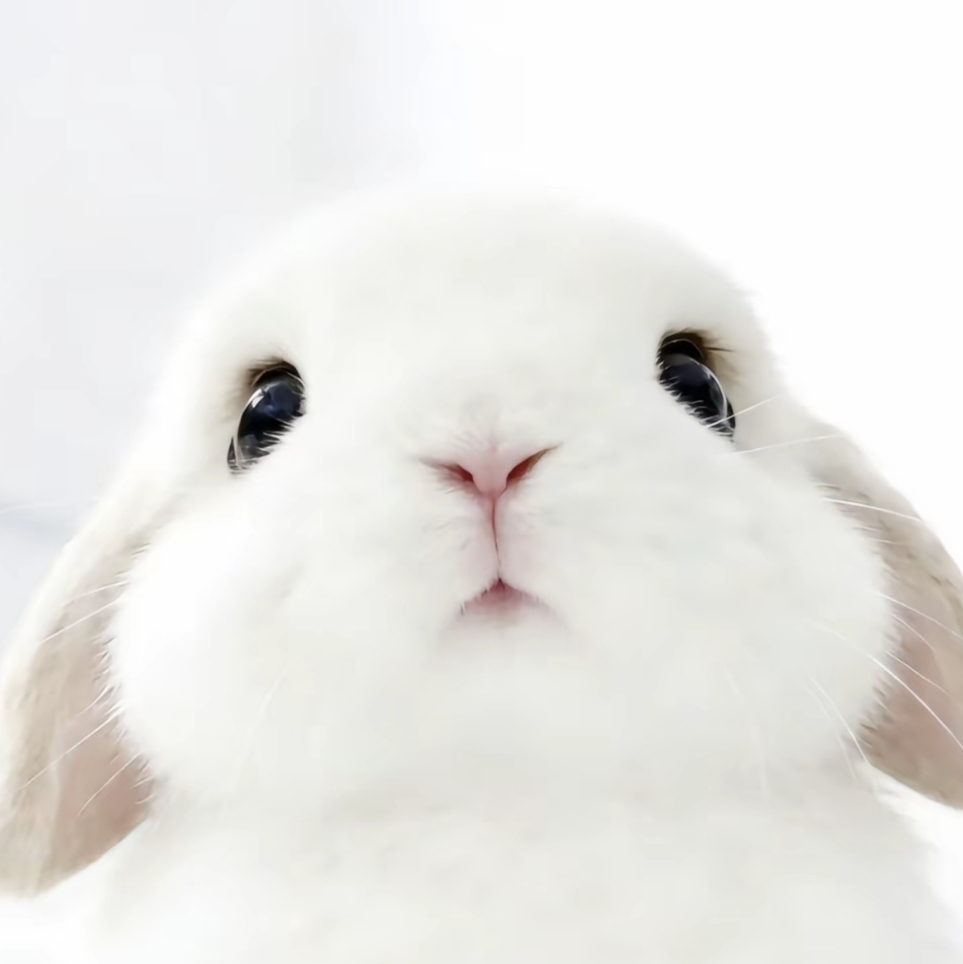 ooeeoo