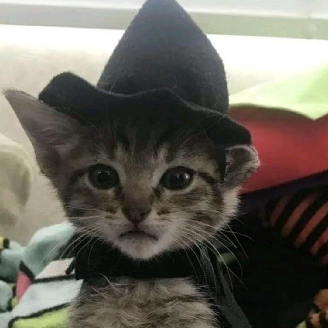 pm