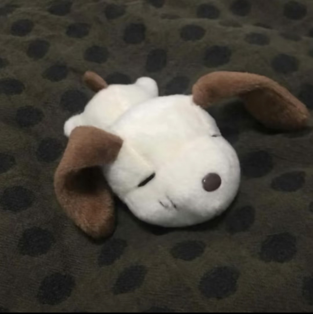 纸箱