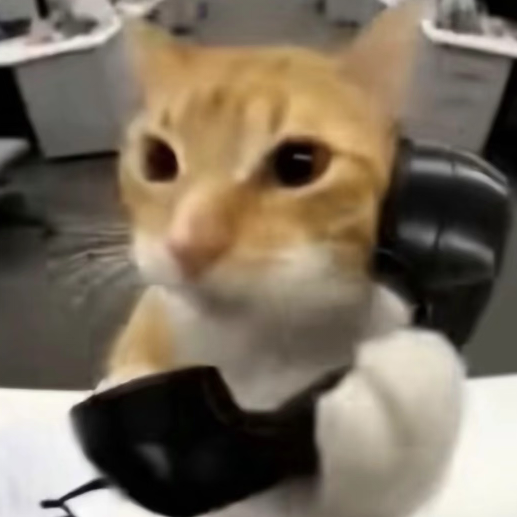 口猫