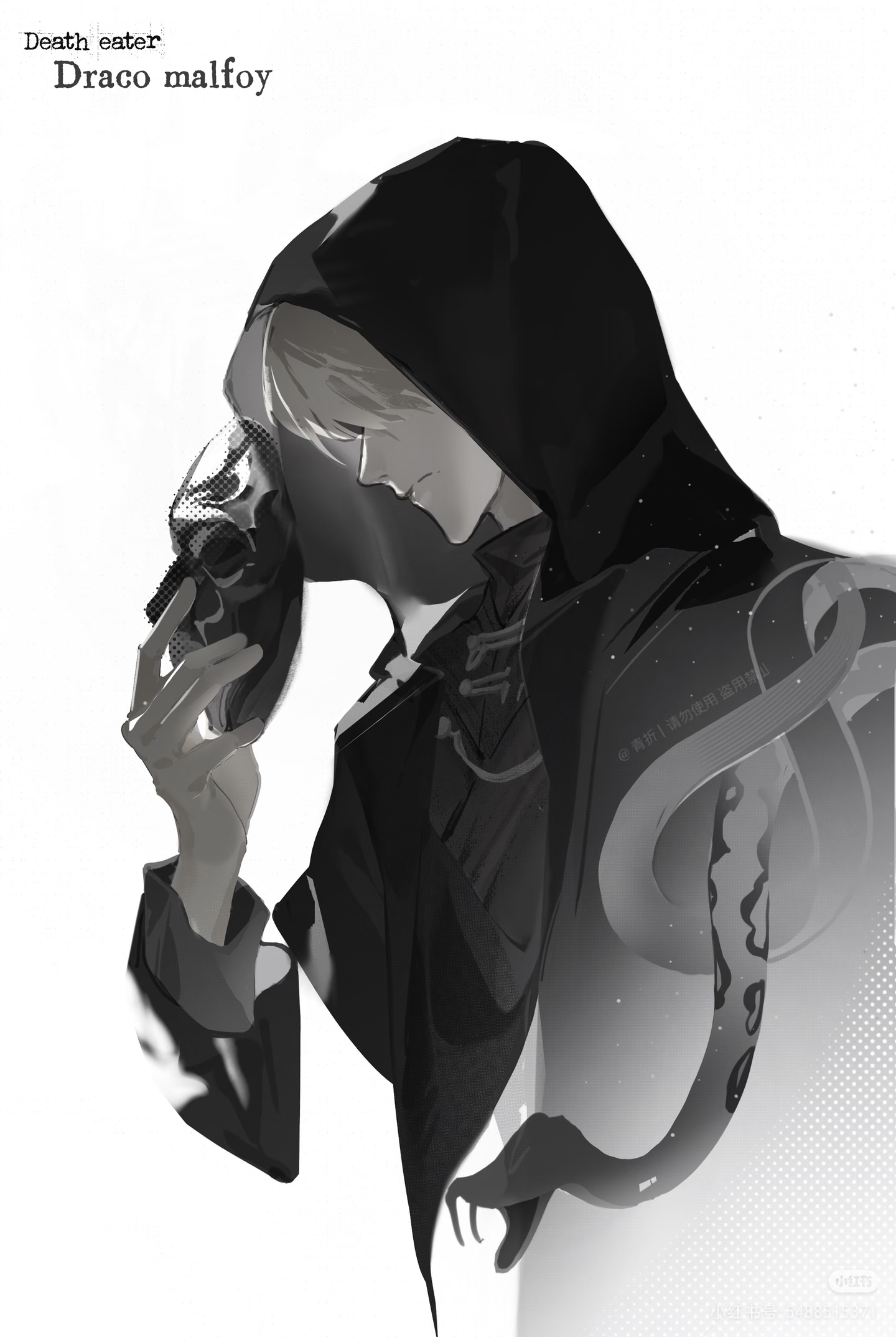 Procyon·Black