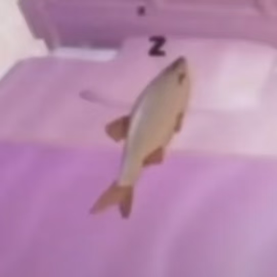 温盏莲