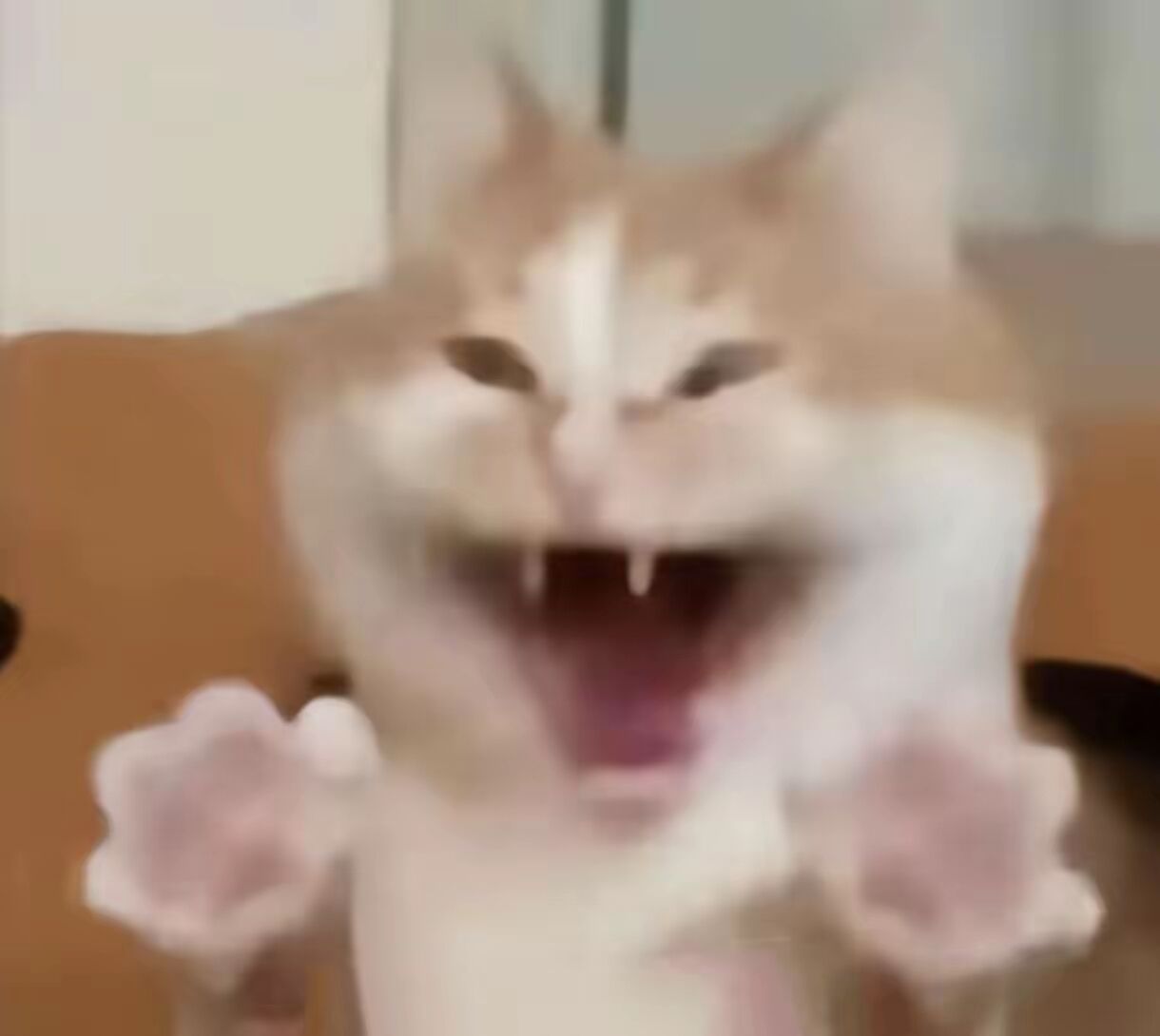 封沉