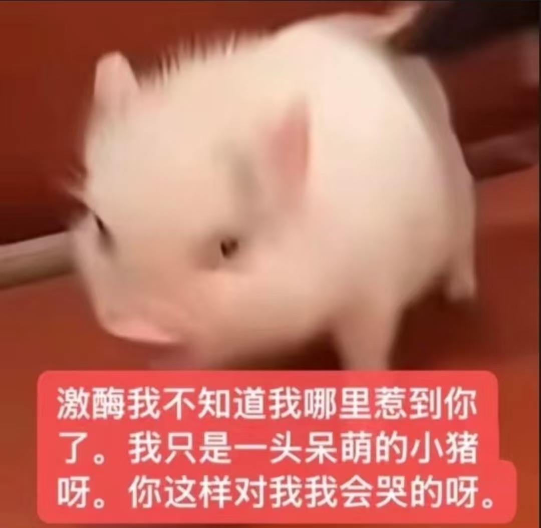 景芫厭序