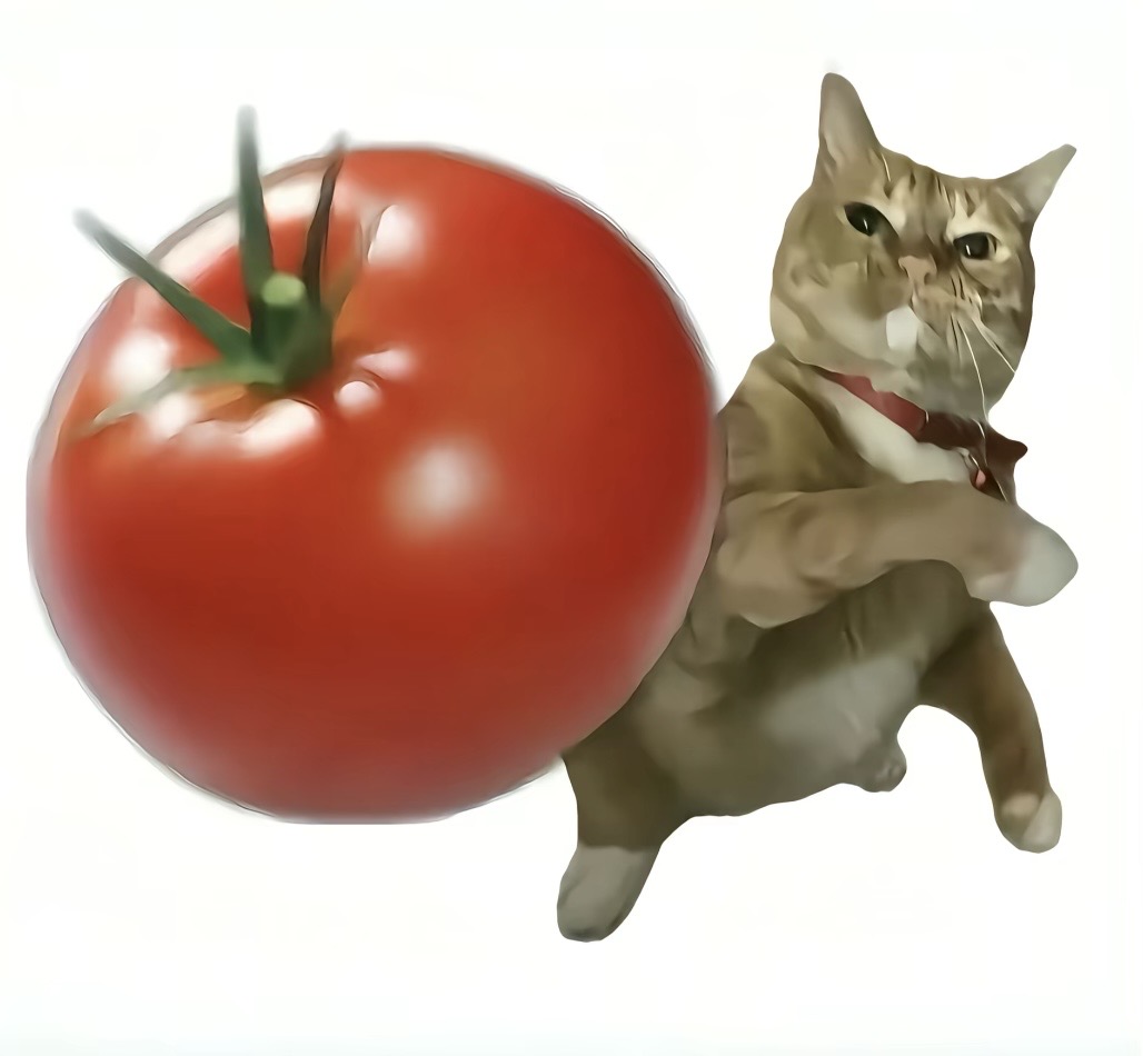 番茄猫