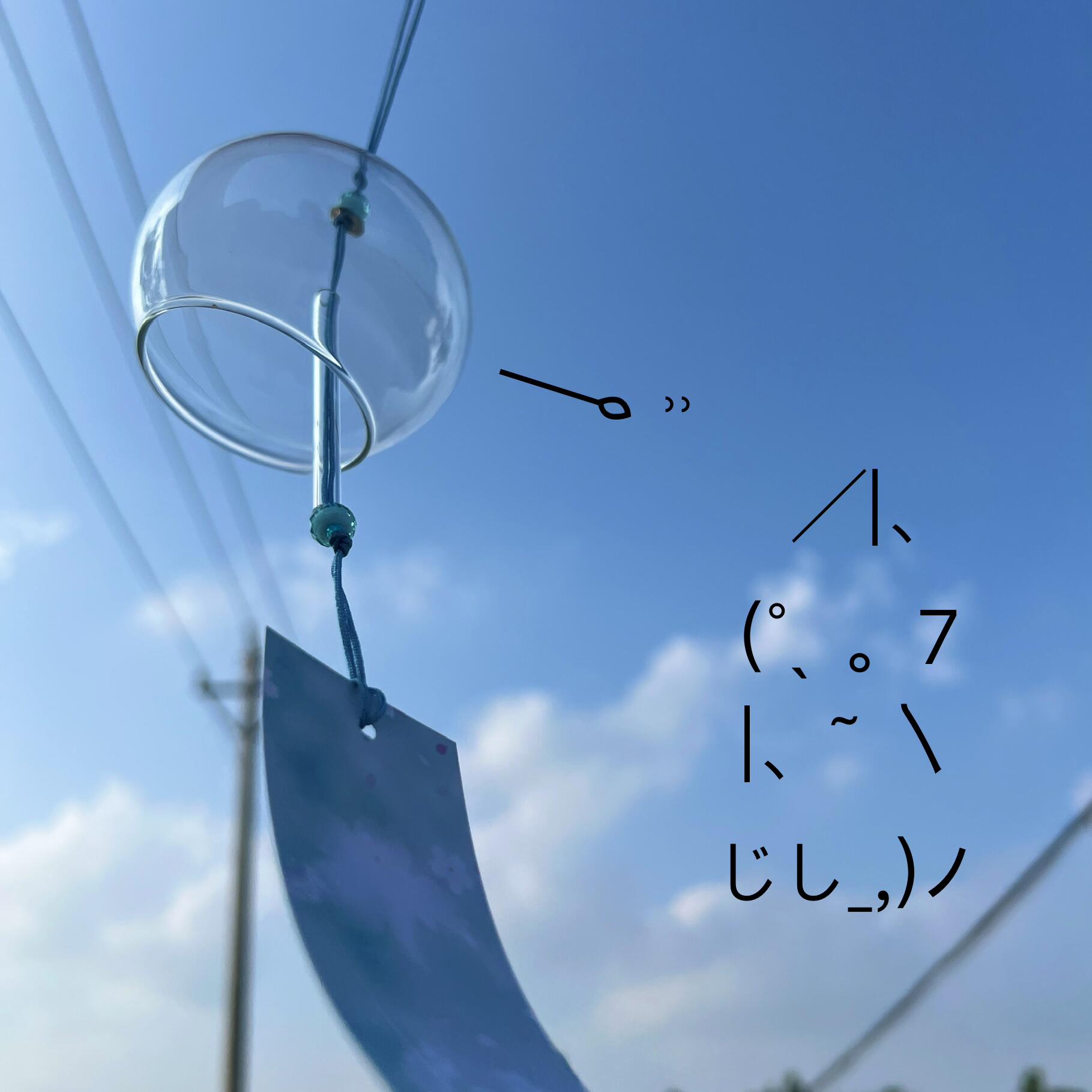 乌cai