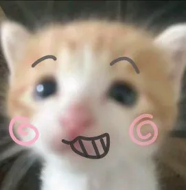 陨渊