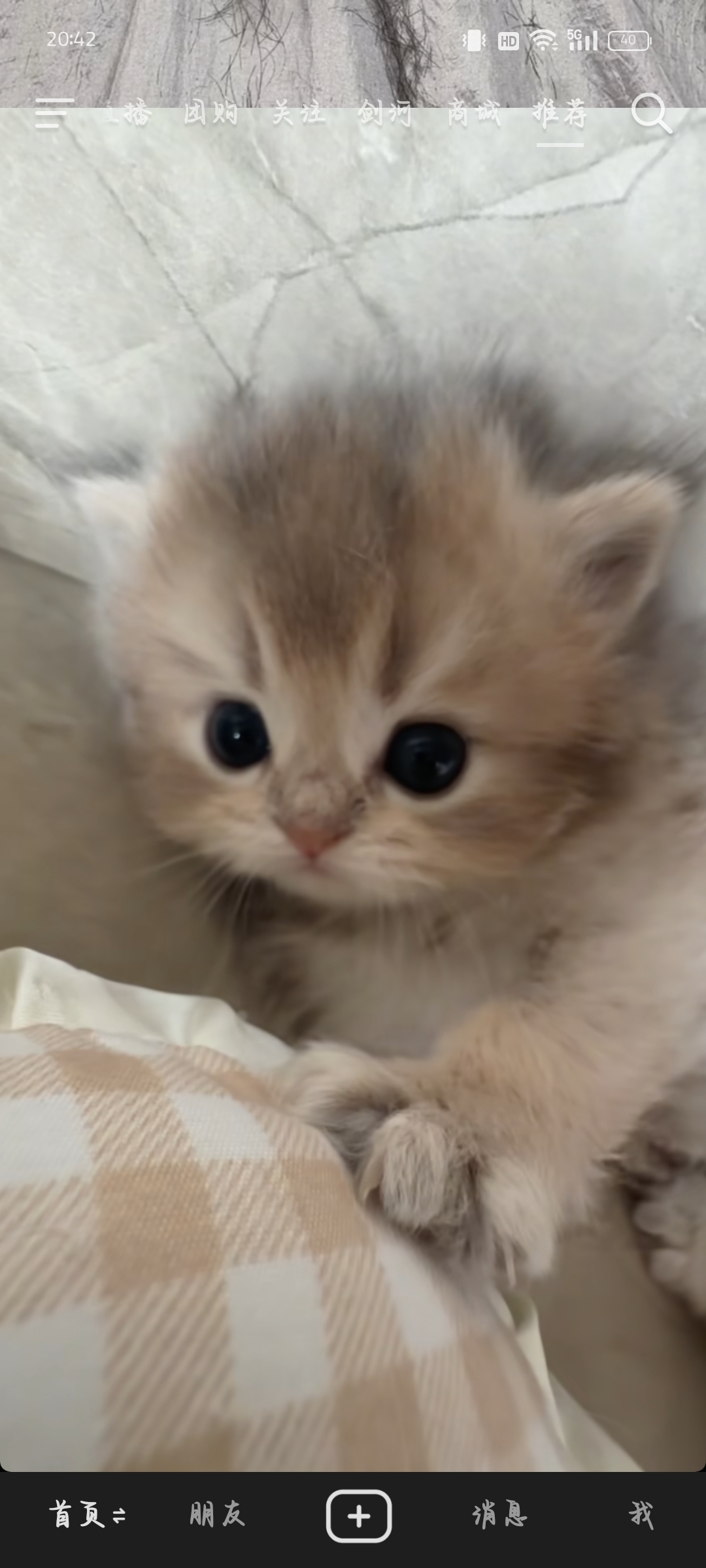 棠玮