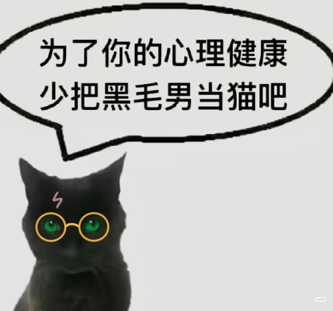 水爻喵