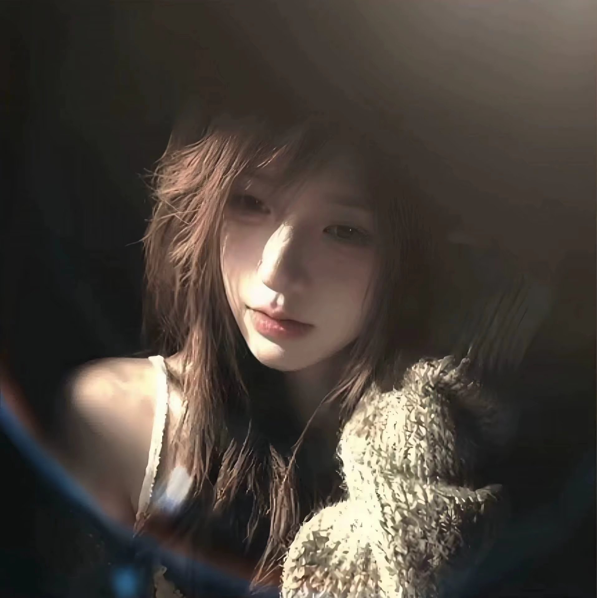 梧叶
