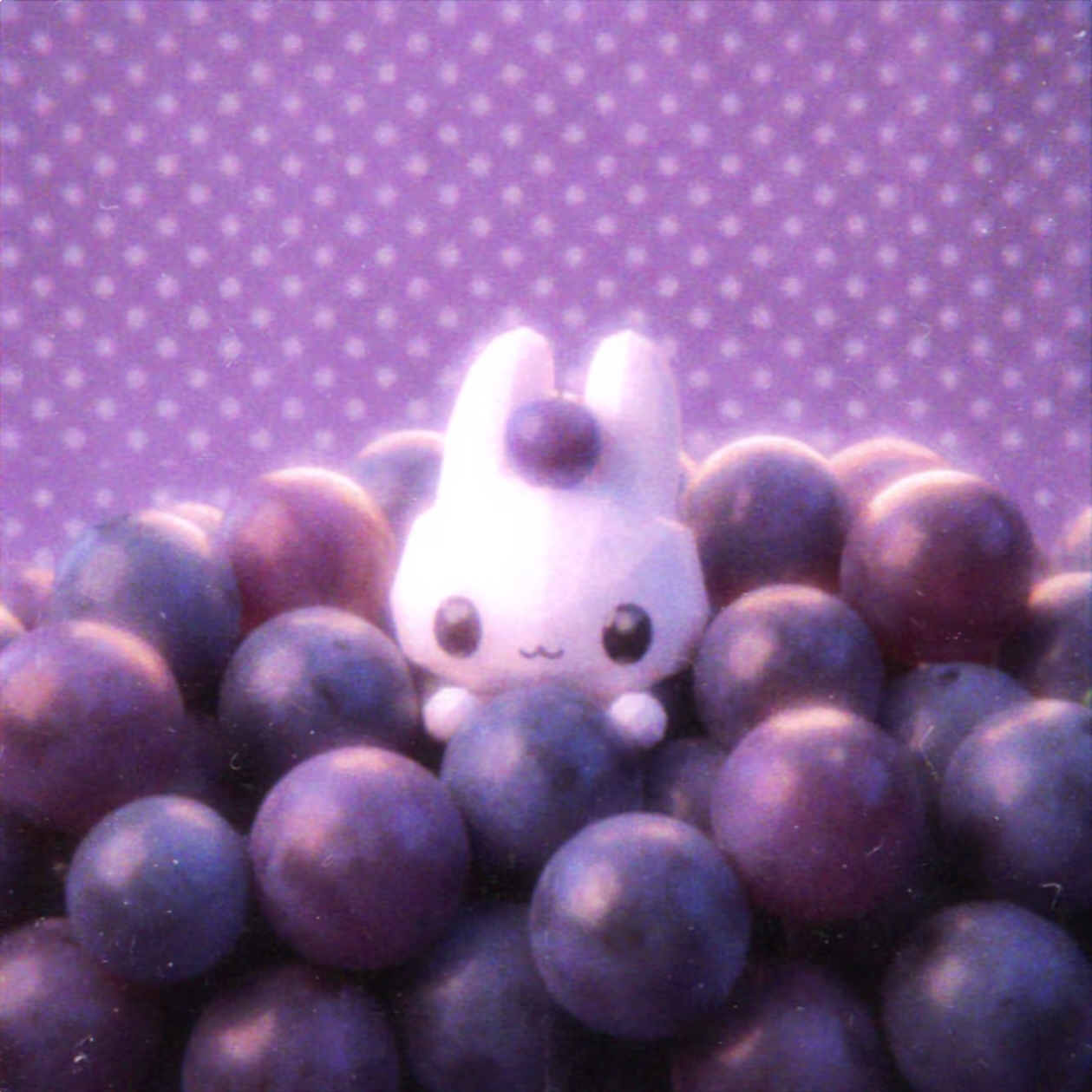 曼曼👾