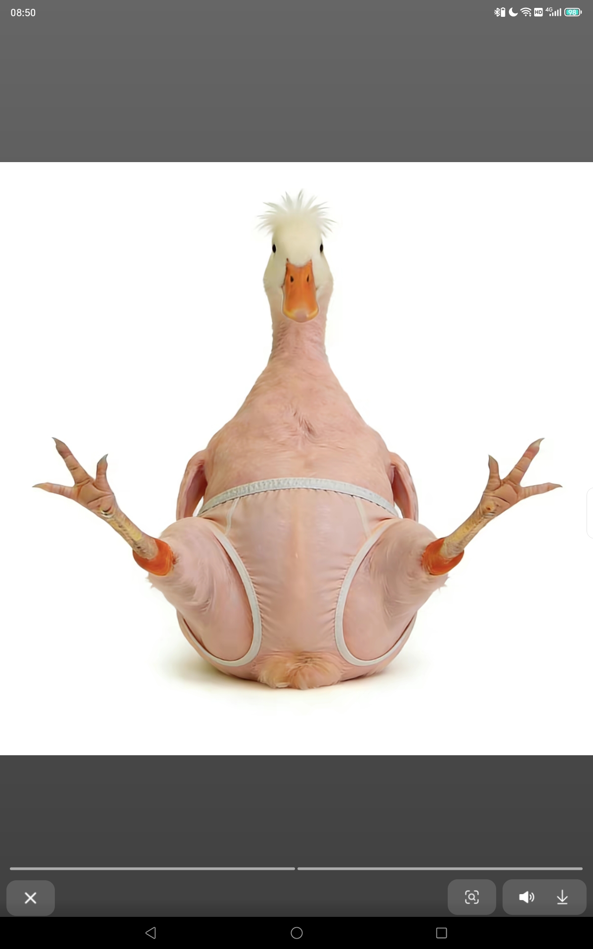 TY卿