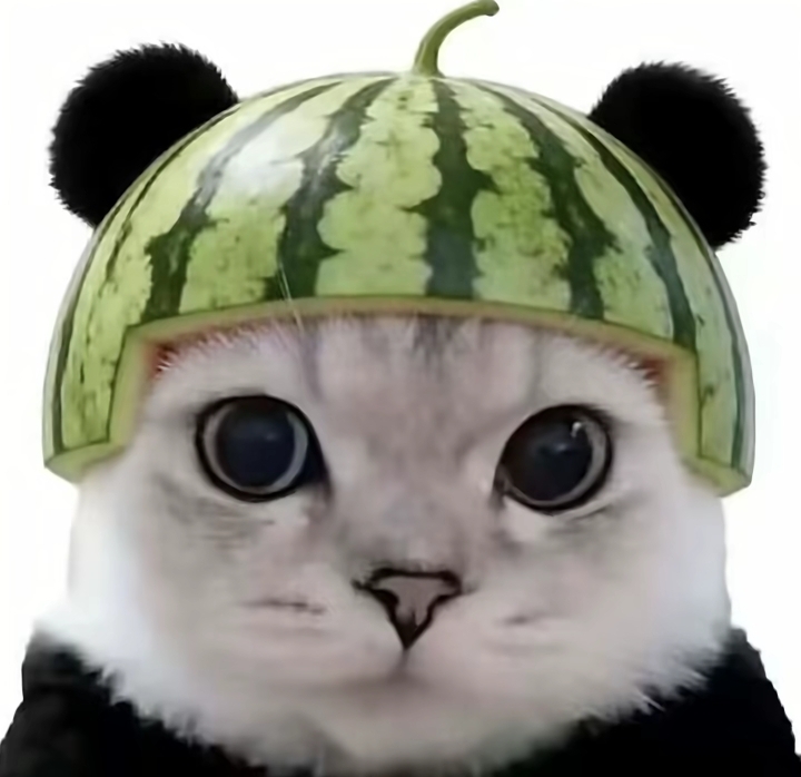 请输入名称