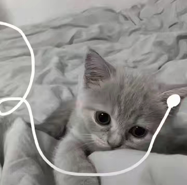 By时颂