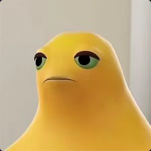大崽崽