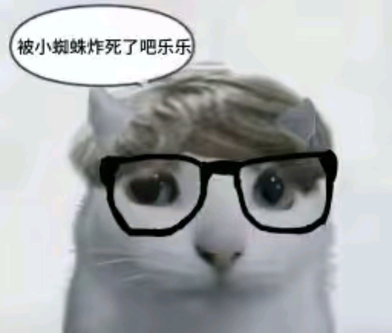 禅院直哉