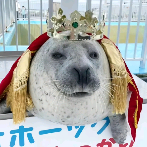 Blue.海豹