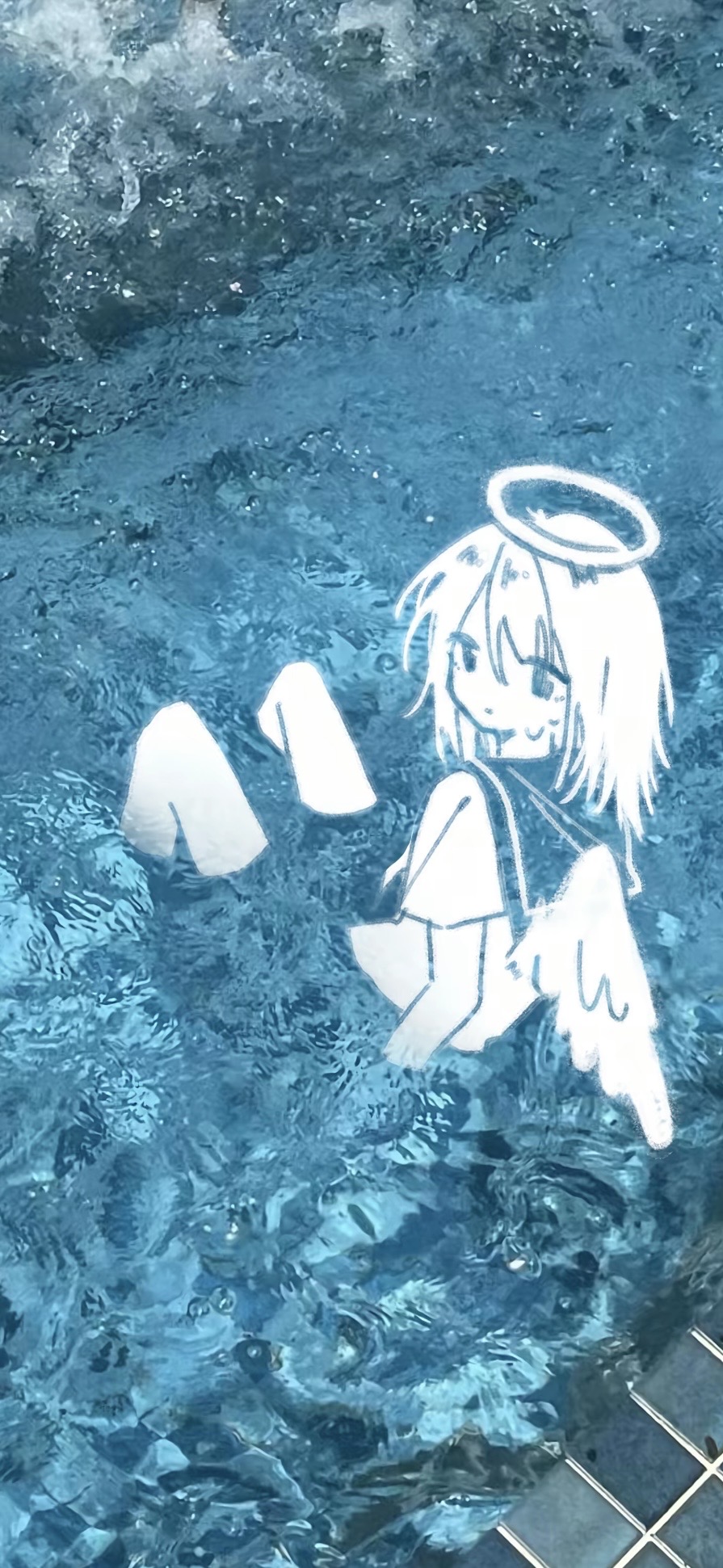 cn海带