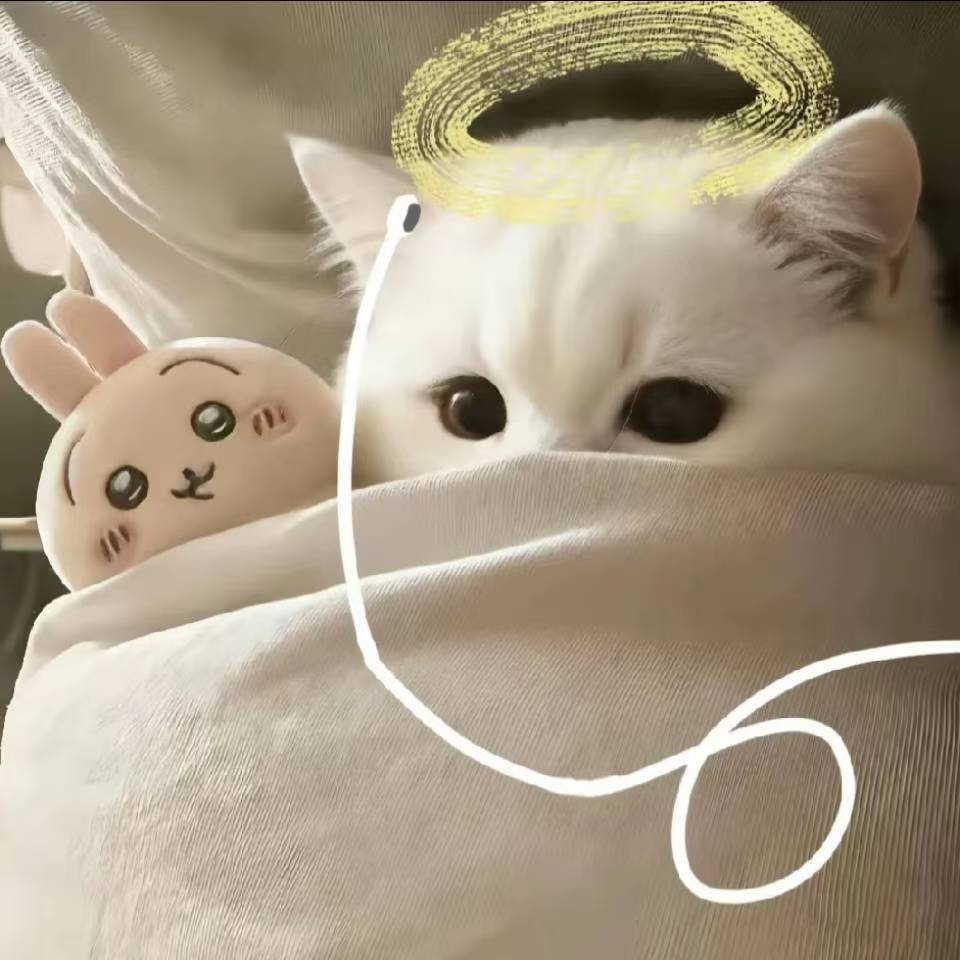万俟锦