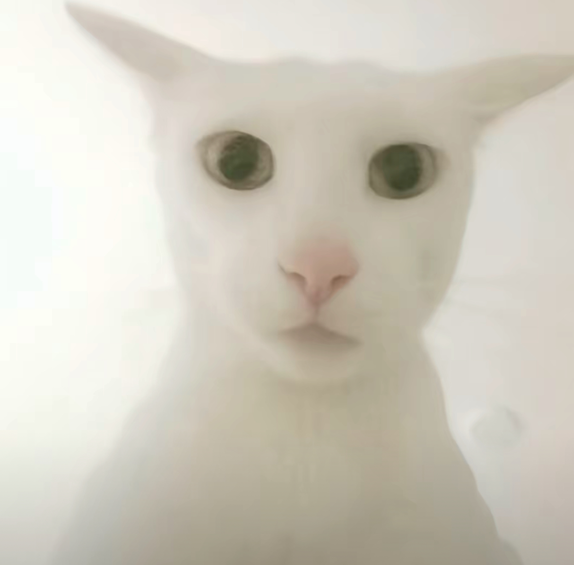 冒险者6557