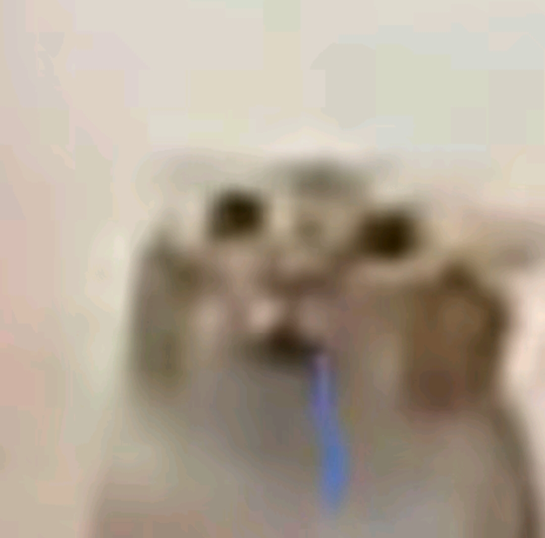 z ₍^_   ̫ _^₎