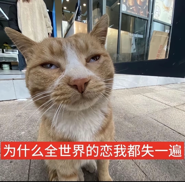 好きだよ
