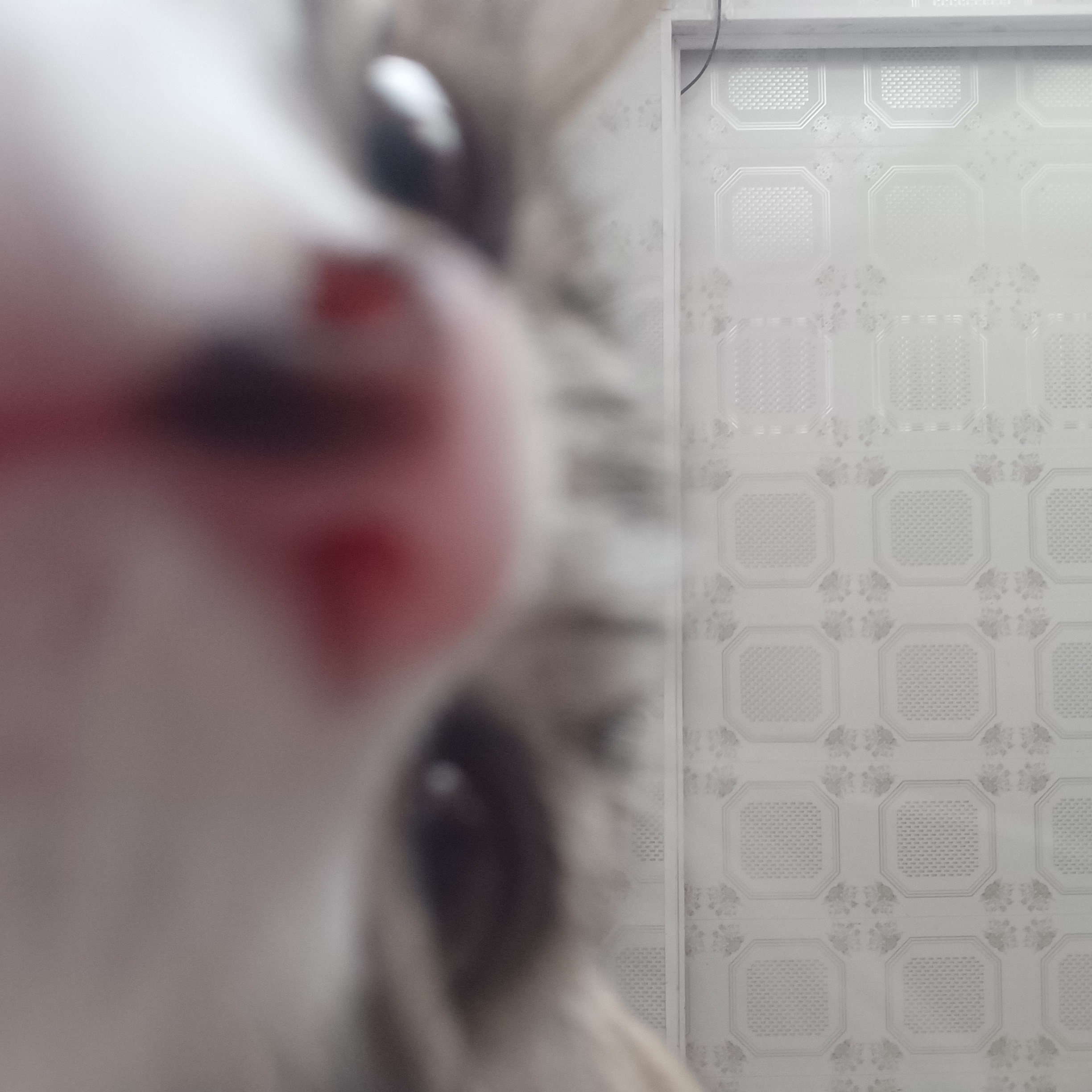 糜蘭