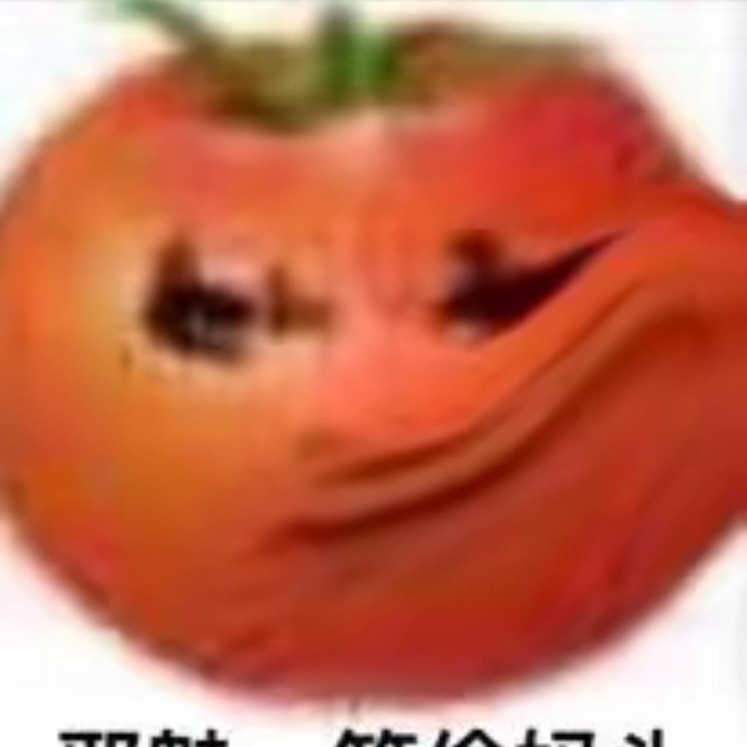 独爱孙小川耐投
