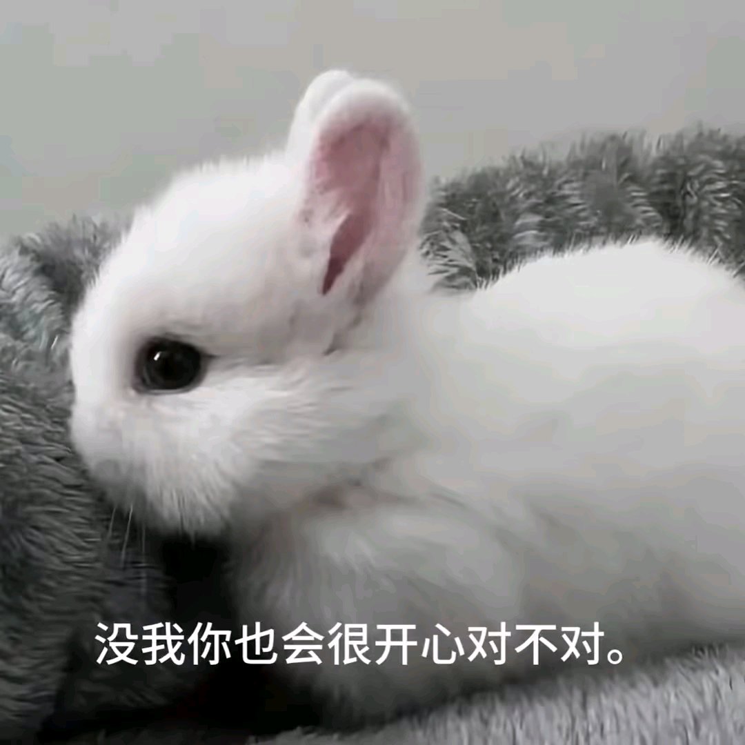 许梨朝