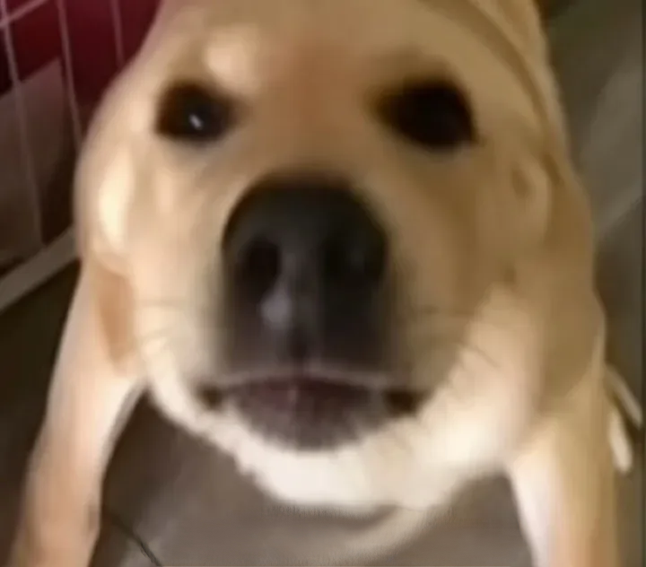 云迥