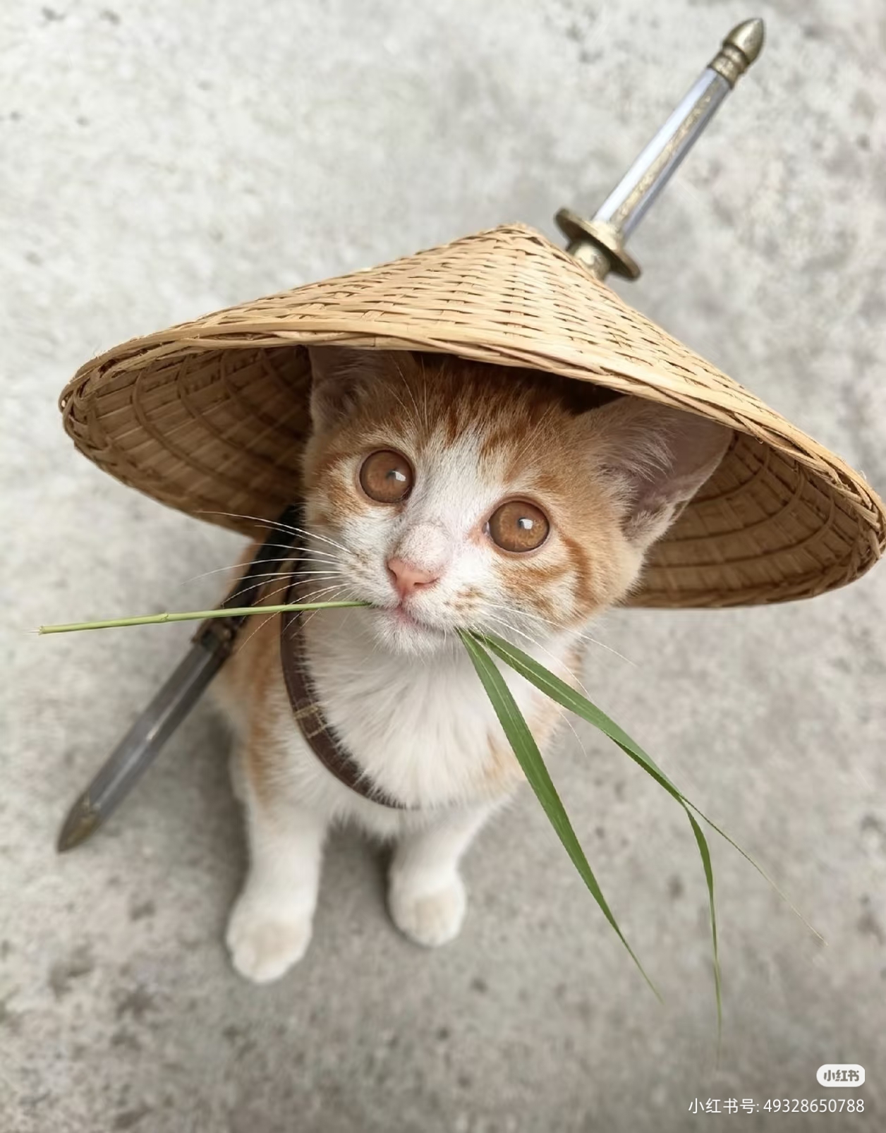 青崖渡芜