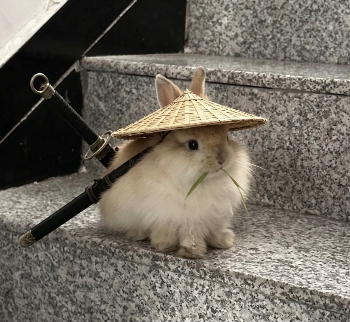 吃鱼不吐骨