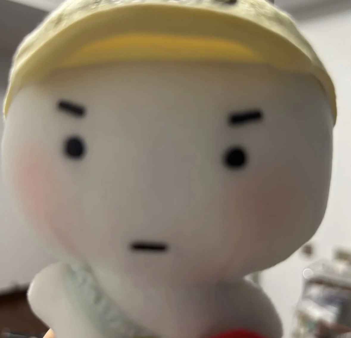 不吃葱TT