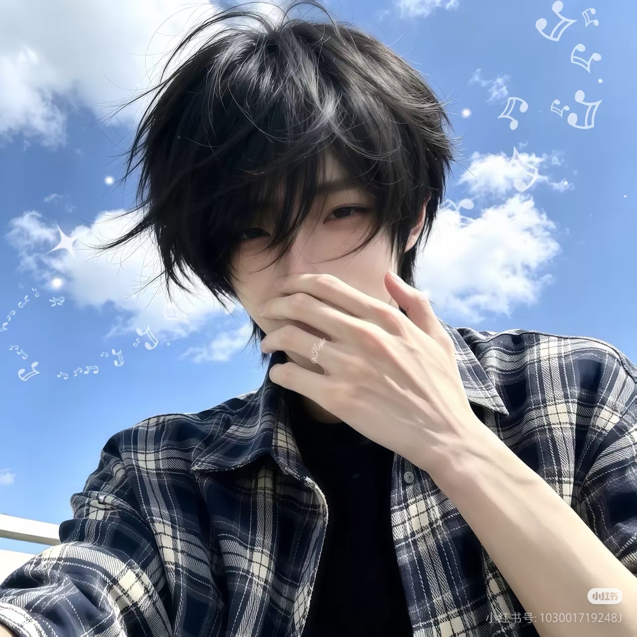 海棠共渡-