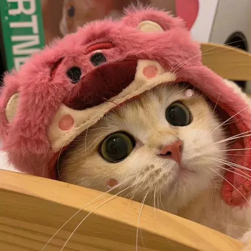长夜qwq
