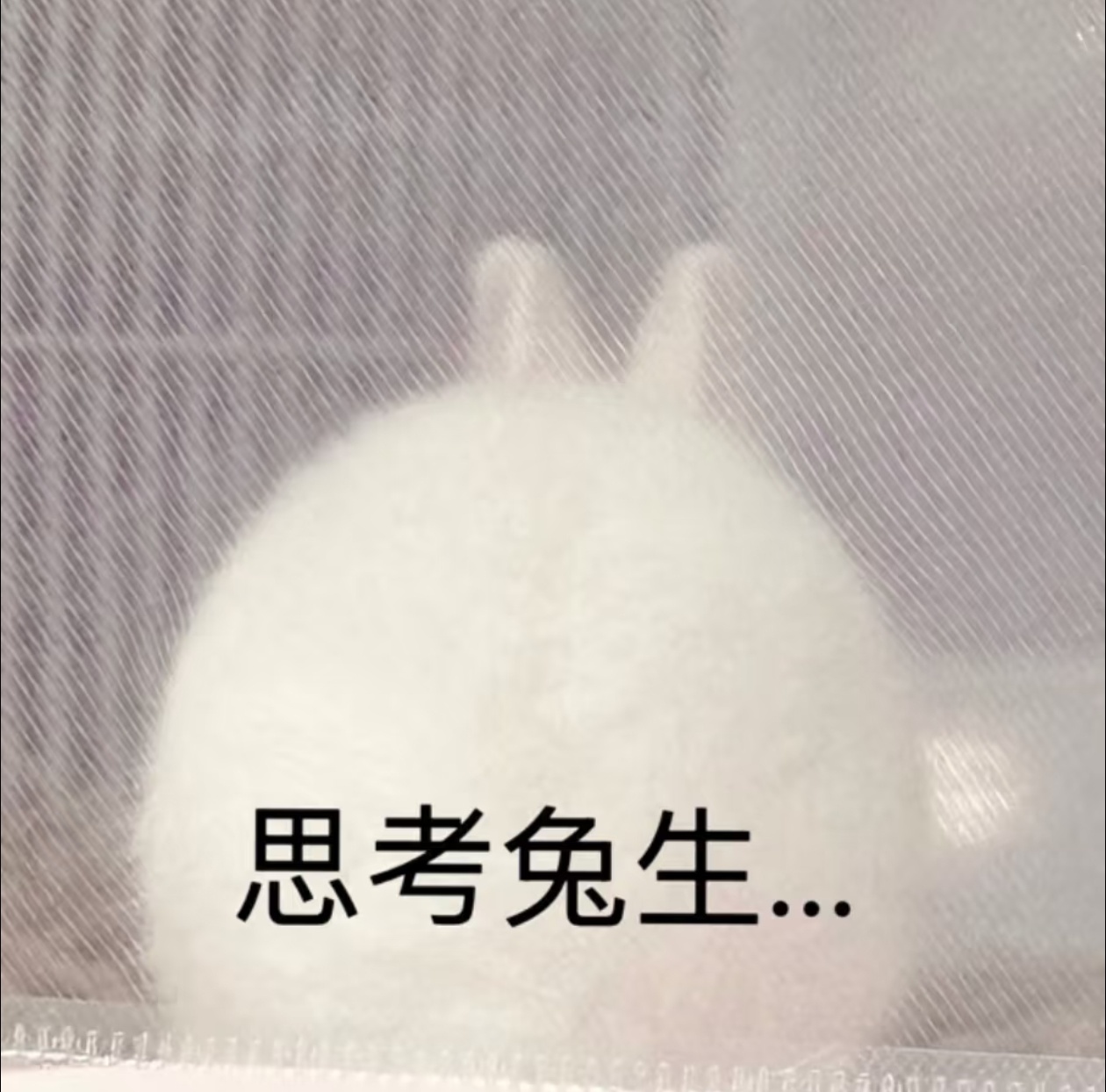 雌小鬼控