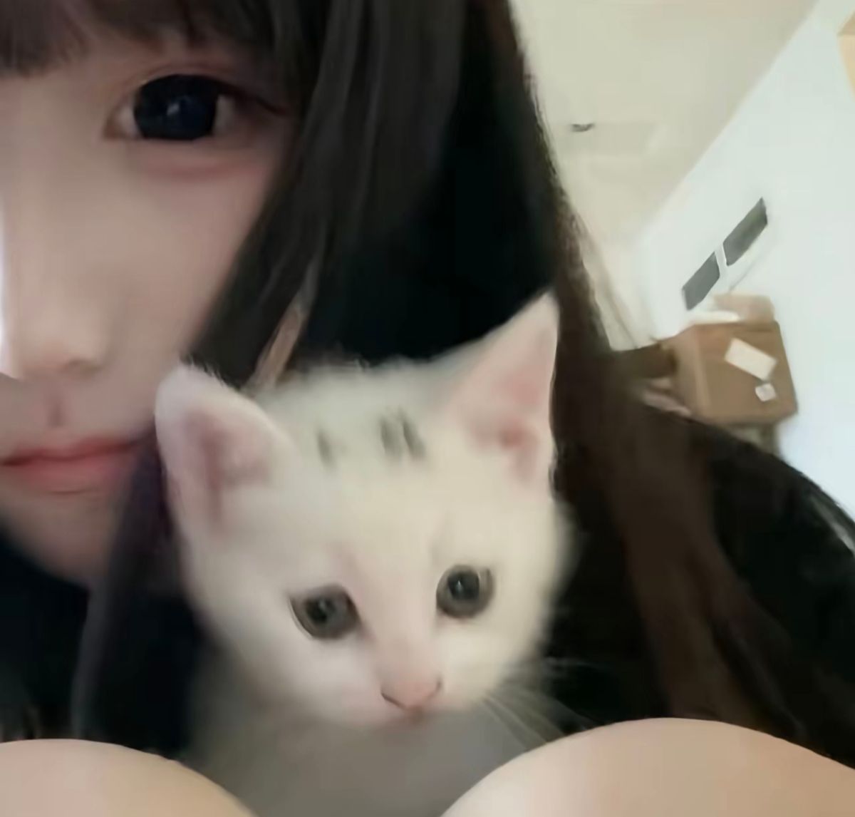 摘一颗星星