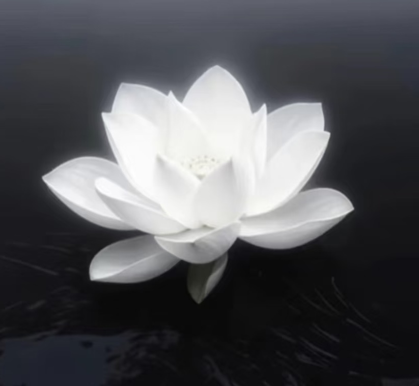 洛帆