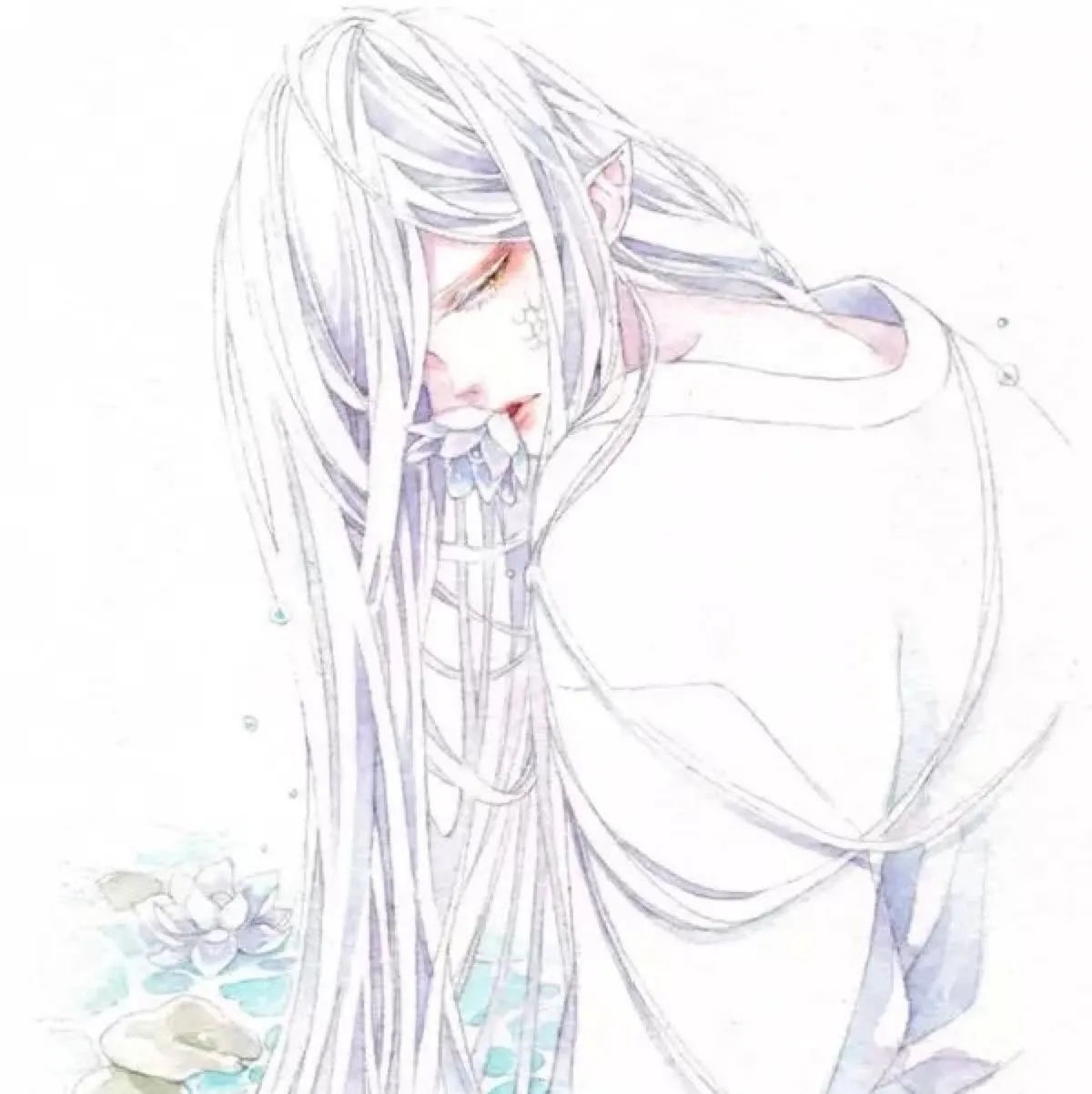 椿不渡