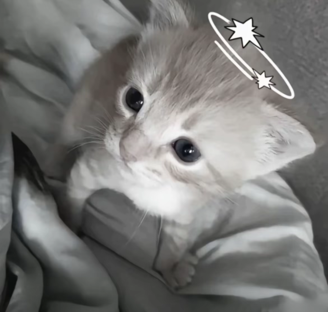 終尹绘.