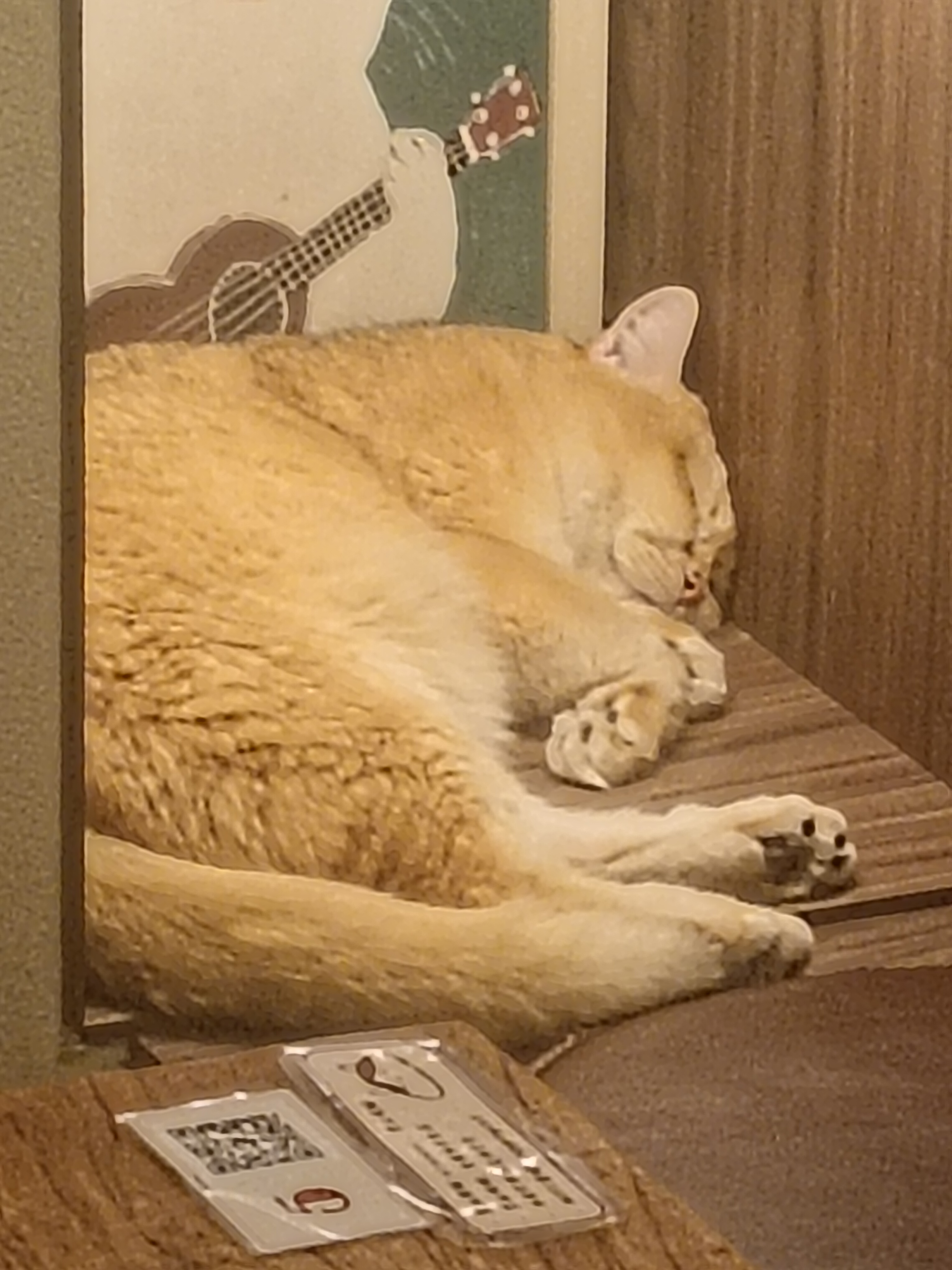 清杉
