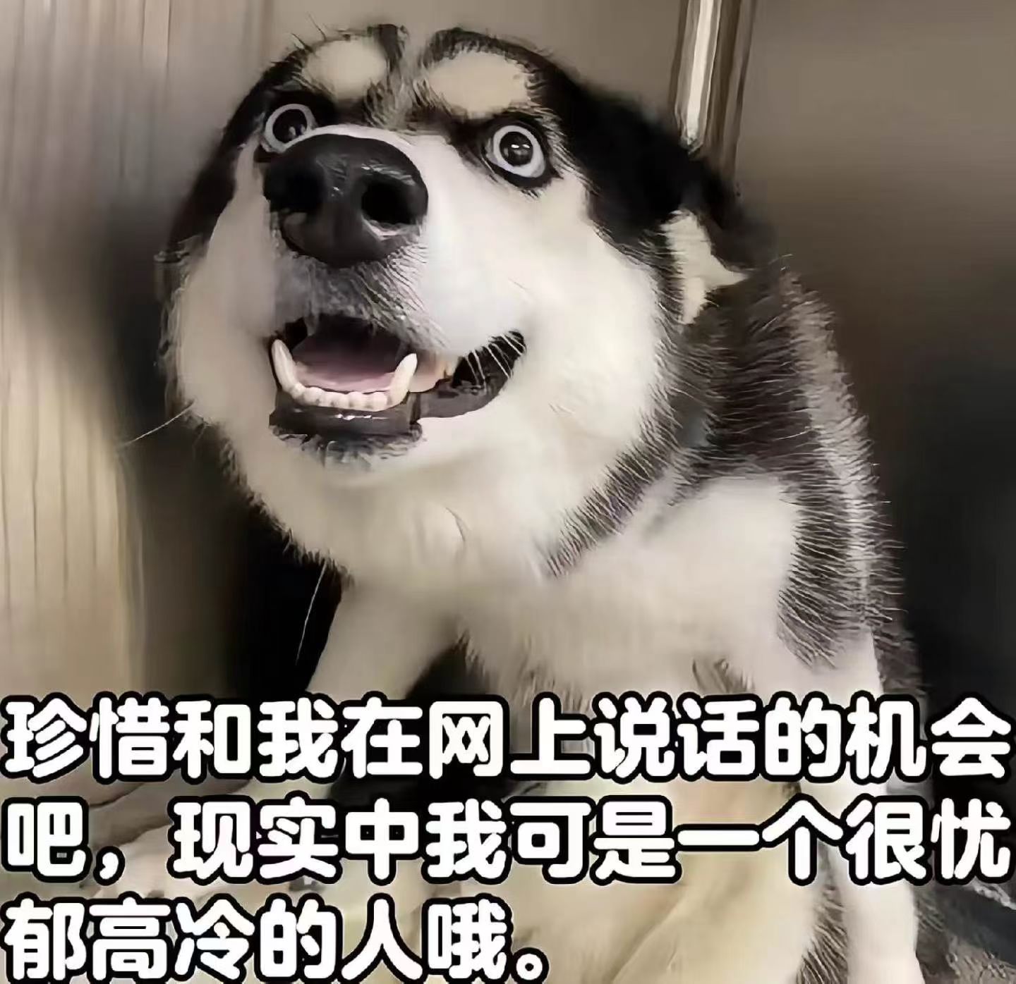 我是你真伟大