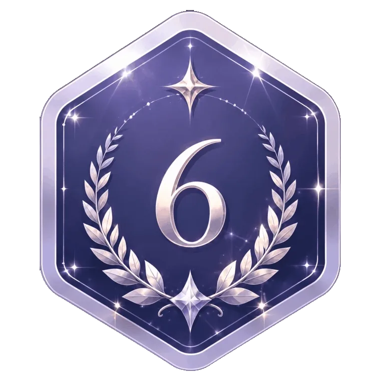 6级