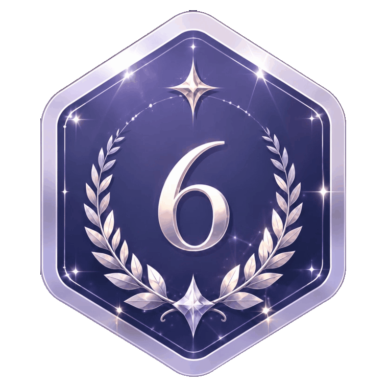 6级